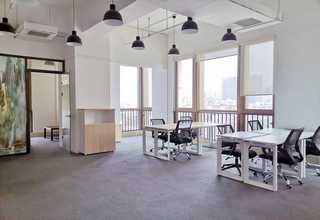 贵州采购红雪松规格